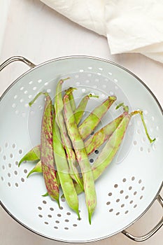 Scarlett runner beans photo