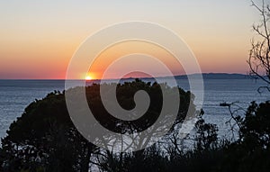 Scarlino at night ( panorama of the gulf of Follonica) - picturesque medieval town in Maremma, Italy.