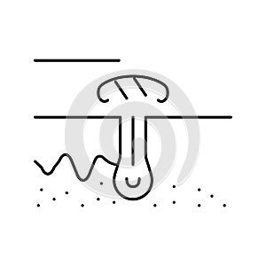 scarring health problem line icon vector illustration photo