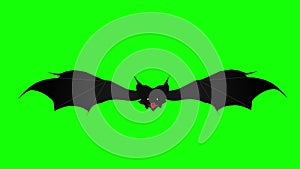 Scary bat hovering slowly against green background. Halloween background, seamless loop