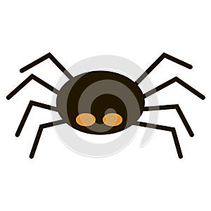Scary big black spider isolated on white, poisonous isect