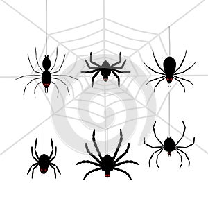 Scary black halloween spider set