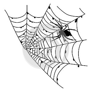 Scary black spider web isolated on white. Spooky halloween decoration