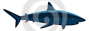 Scary blue shark, illustration, vector