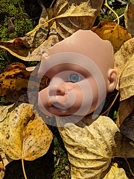 scary and broken doll face with one blue eye on a background of fallen autumn leaves