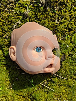 scary and broken doll face with one blue eye on a background of green moss in the forest in the autumn season