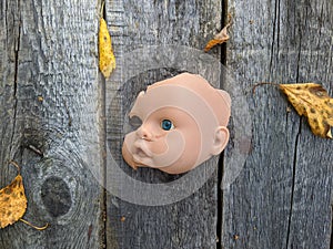 scary and broken doll face with one blue eye on a background of old wooden board with autumn leaves