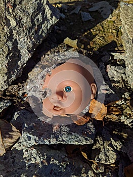 scary and broken doll face with one blue eye on a background of stones and autumn leaves in the daytime