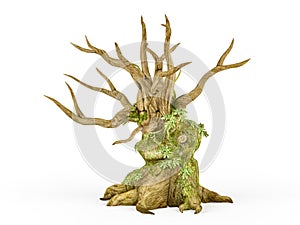Scary dead tree with creeping plant isolated on white background, 3D rendering