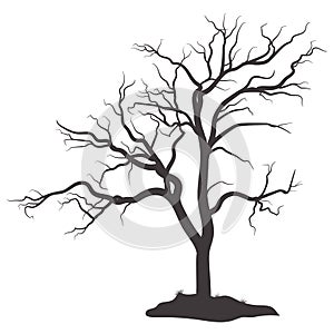Scary dead tree silhouette image