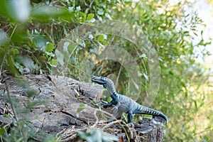 Scary dinosaur toy in the bushes, jurassic park concept, prehistoric animals in the modern world