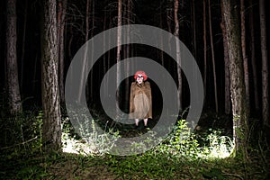 a scary evil clown wearing a dirty costume in the woods at night