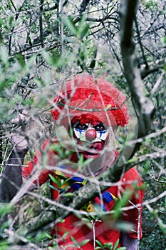 Scary evil clown in the woods