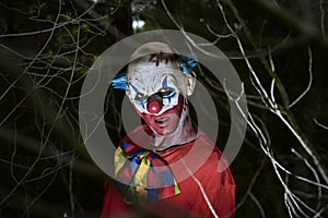 Scary evil clown in the woods