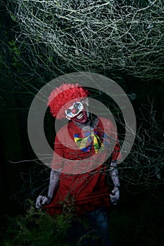 Scary evil clown in the woods