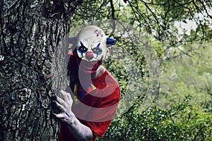 Scary evil clown in the woods photo