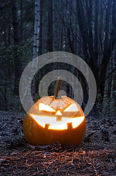 Scary glowing halloween pumpkin in the night forest. Vertical