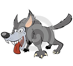 Scary gray wolf