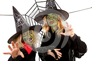 Scary green witches for Halloween