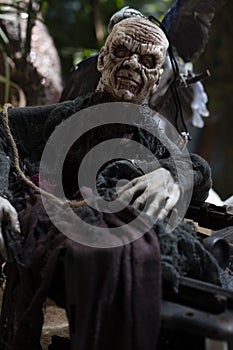 Scary Halloween Horror Black Witch