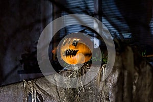 Scary Halloween Scarecrow