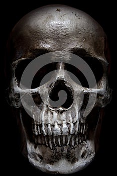 Scary human skull isolated on black background