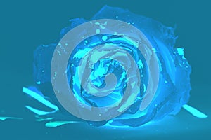 Scary image of daek rose