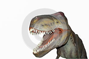 A Scary isolated dino dinosaurs T rex