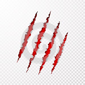 Scary leceration paper surface. Wild animal claws scratch texture with red background. Torn paper edge. vector