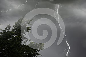 Scary lightning in black rainy clouds