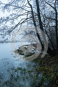 Scary mysterious forest with green light and frozen lake in fog in winter. Nature misty landscape. Scary halloween