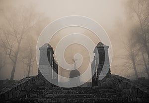 Scary old entrance to forest graveyard in dense fog