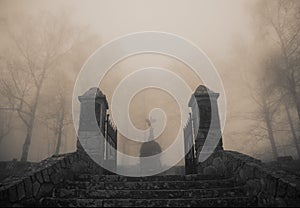 Strašidelný starý vstup na les hřbitov v hustý mlha 