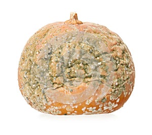 Rotting pumpkin