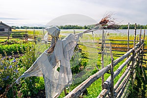 A scary scarecrow guards the farm.