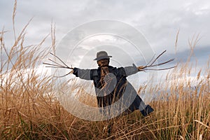 Scary scarecrow in a hat