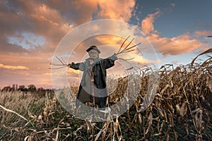 Scary scarecrow in a hat