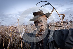 Scary scarecrow in a hat photo