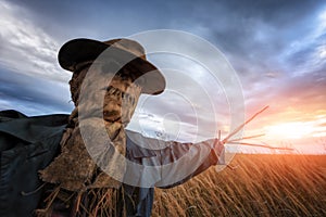 Scary scarecrow in a wheat field at sunset