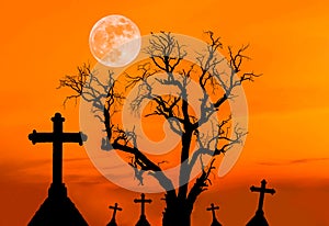 Scary silhouette dead tree and spooky silhouette crosses in mystic graveyard with half moon