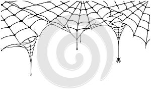 Scary spider web background. Cobweb background with spider. Spooky spider web for Halloween decoration