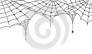 Scary spider web, Halloween festive background. Cobweb on white background with spider