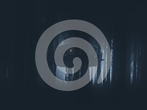 Scary tree house in forest