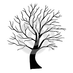 Scary tree silhouette