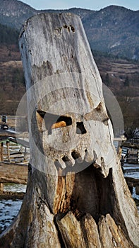 Scary tree trunk in the winter