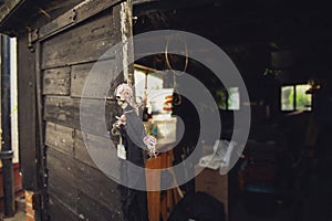 scary witch hanging on an old wooden door