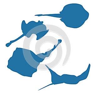 Scate ray silhouettes vector on white background