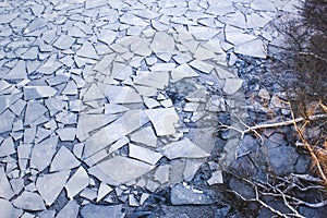 Scatter of crushed ice floes. Bare tree branches reaching out.