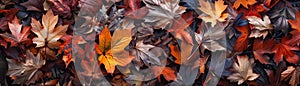 Scattered autumn leaves, macro shot, crisp detail , no dust