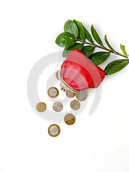 Scattered Belarusian coins from a red leather purse on a white background.